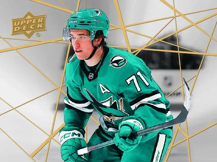 Collector sorting Tim Hortons NHL hockey cards into a binder