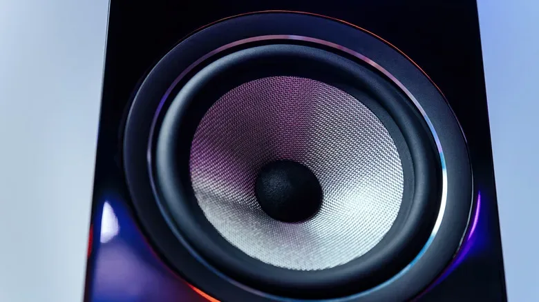 A close-up of a speaker.