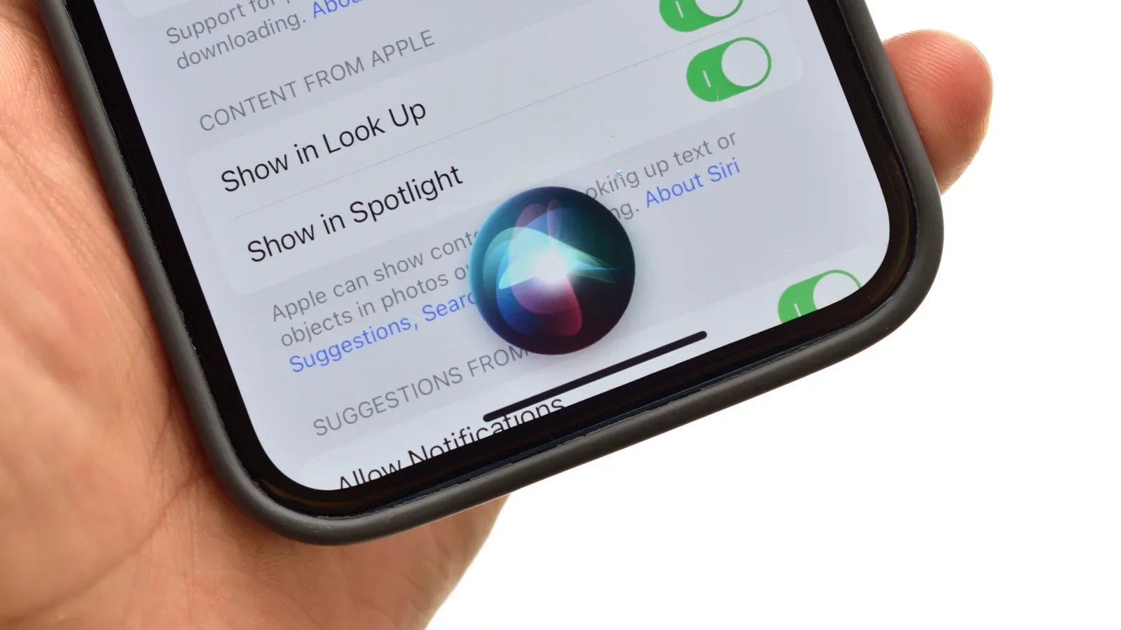 iPhone Settings screen showing Siri voice options
