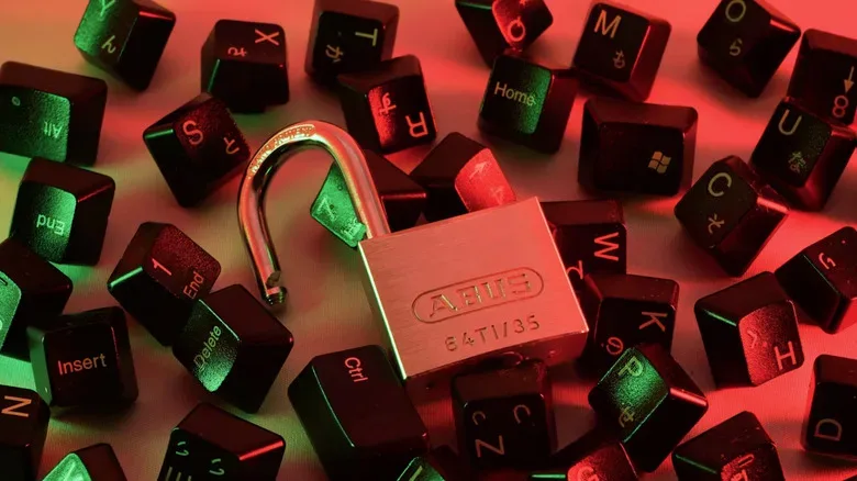 Digital identity verification terminal with a data-security alert