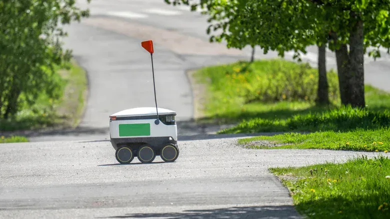 Wheelchair user navigating an accessible urban sidewalk beside a delivery robot