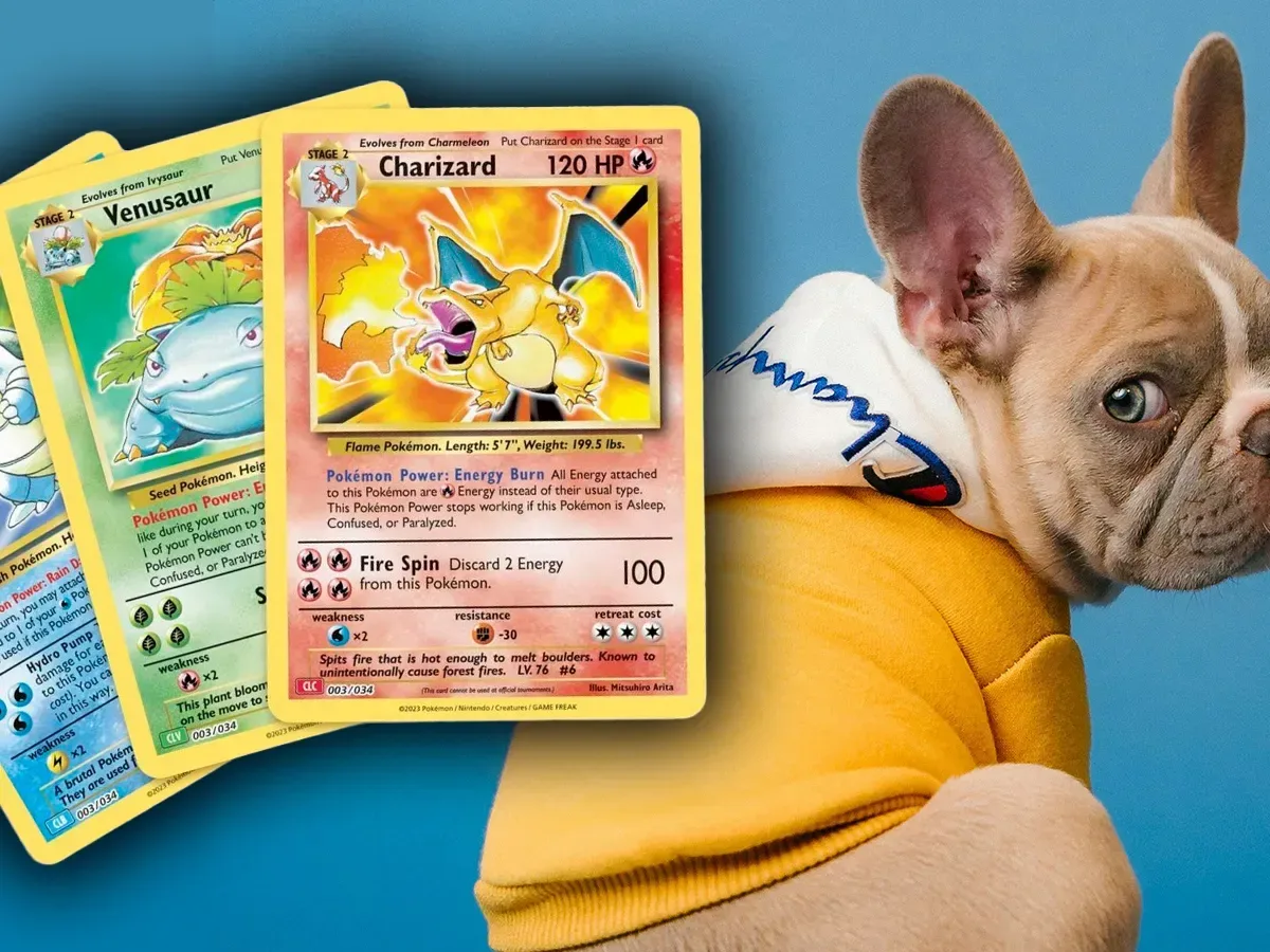 Pokémon Card Convention Videos Draw Backlash After French Bulldog Puppies Are Offered in Trades