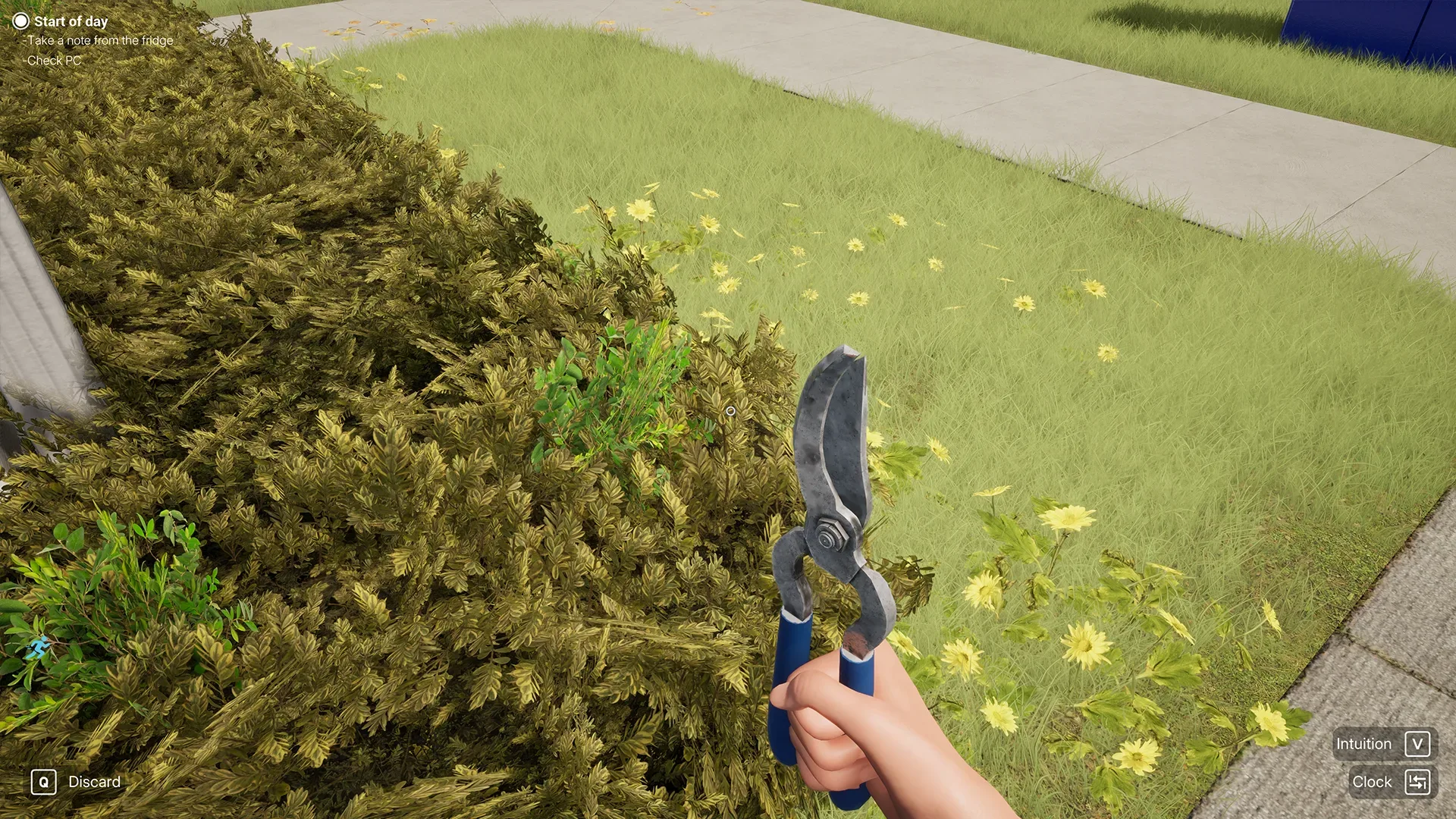 Woman Simulator