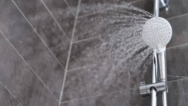 Image of a showerhead.