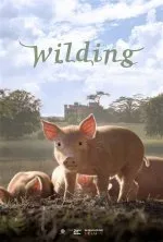 Wilding movie artwork