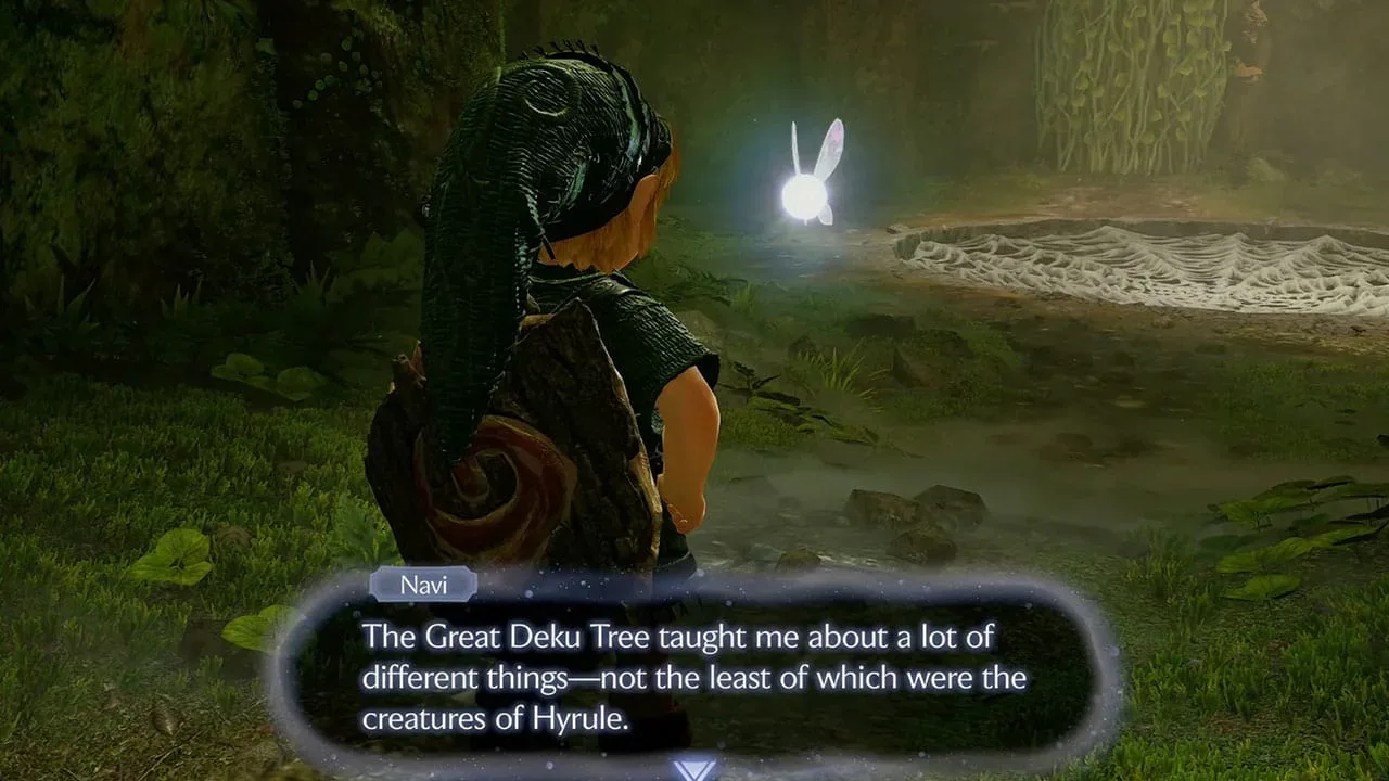 Link and Navi talking