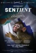 Sentient movie artwork