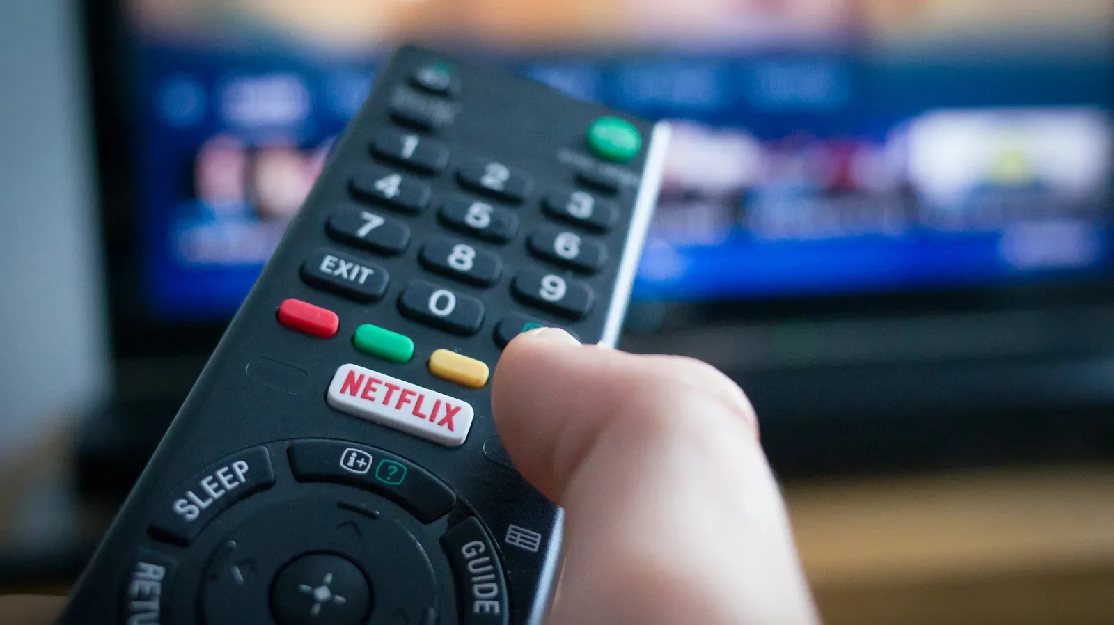 Netflix playback audio menu showing standard stereo and 5.1 track options