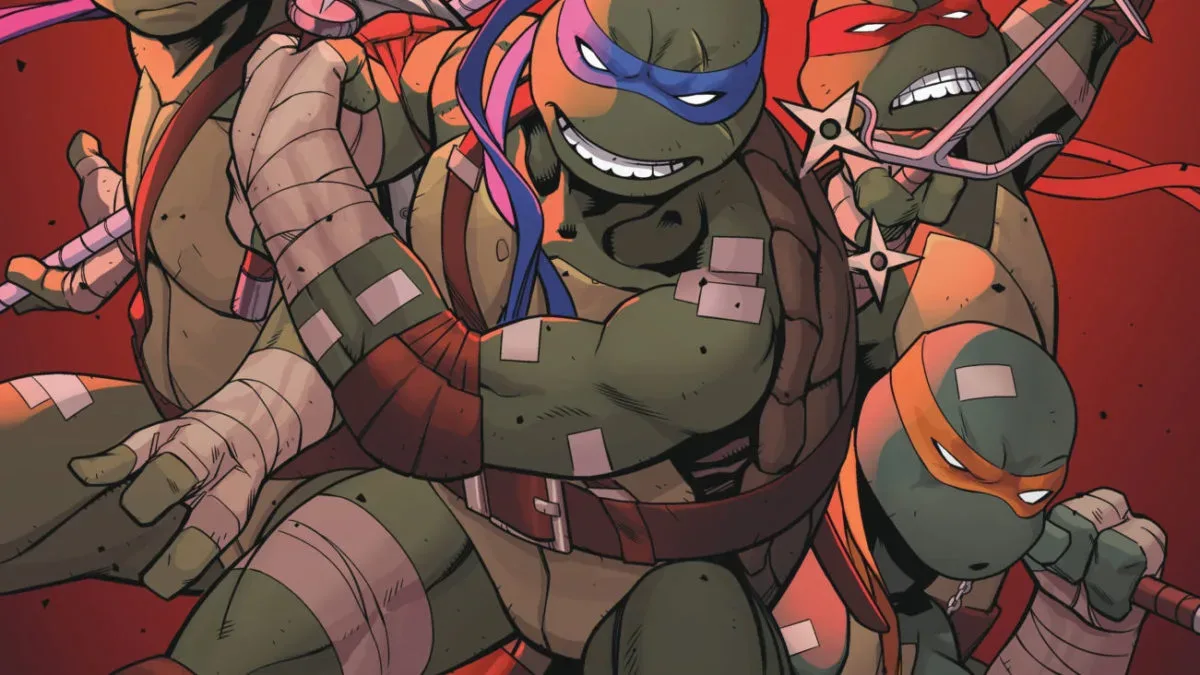 Teenage Mutant Ninja Turtles #25 comic cover artwork