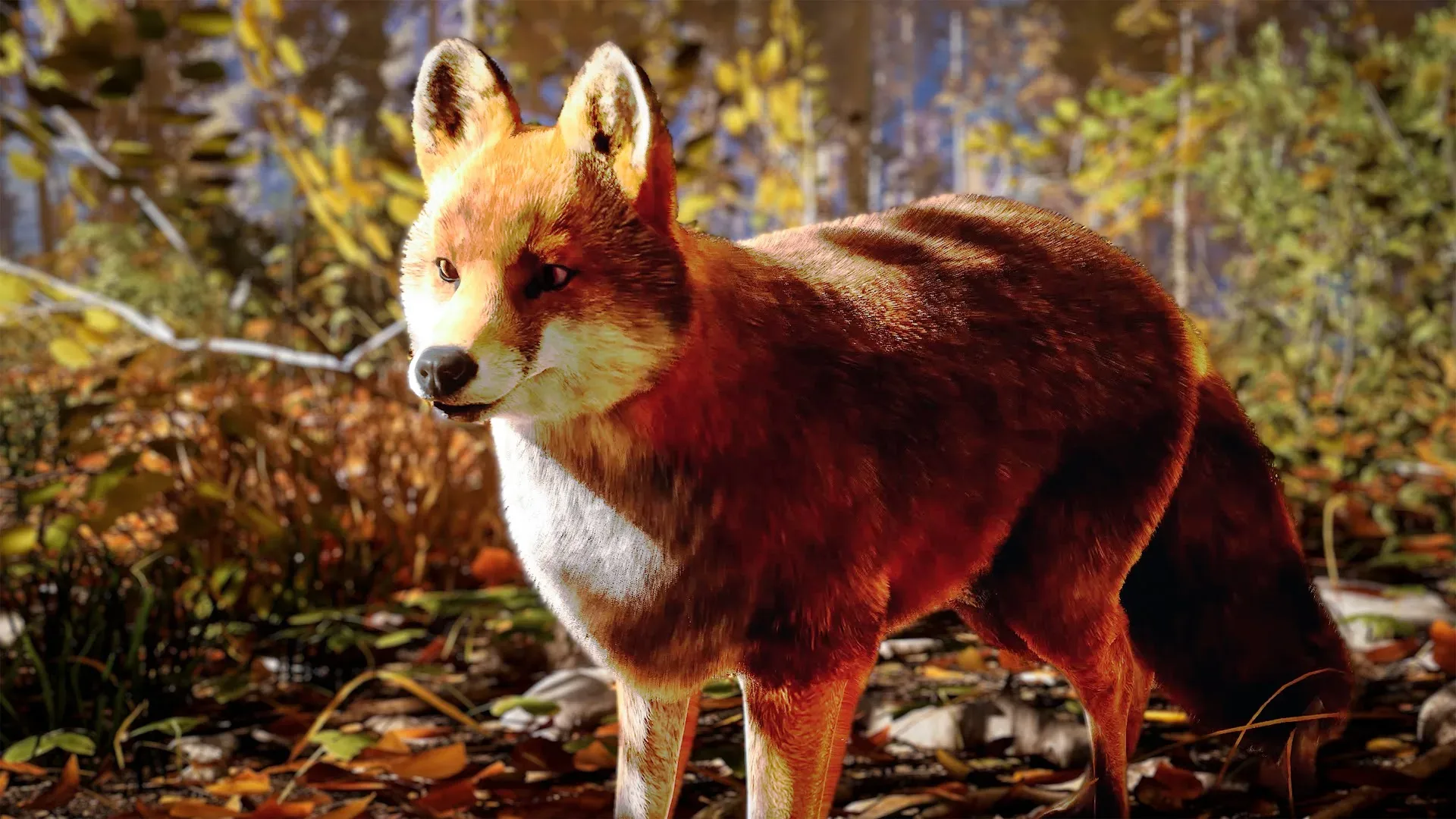 Hunting Simulator 3