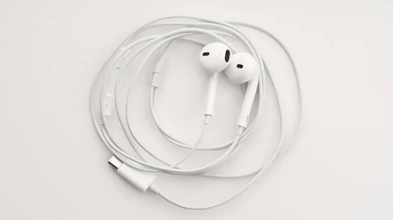 Apple's wired EarPods with a USB-C connector.