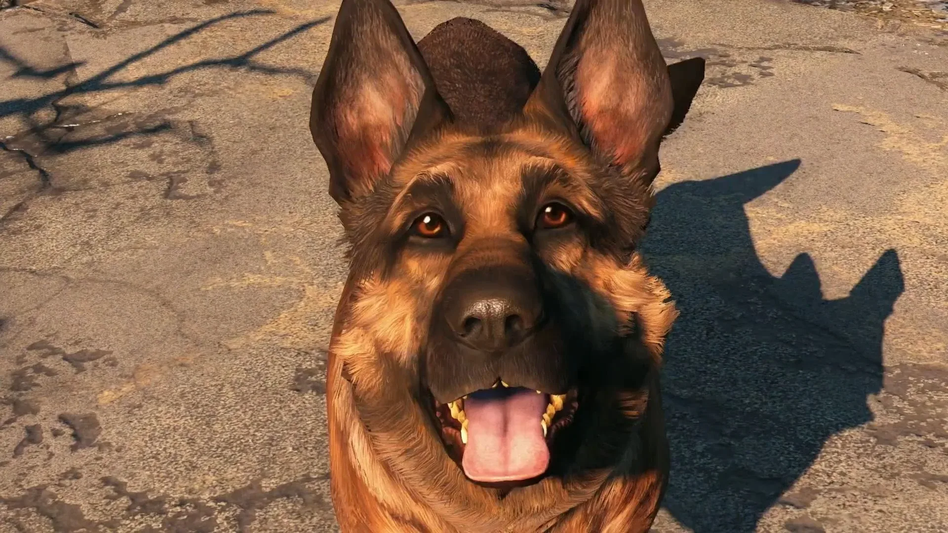 Obsidian Entertainment and Bethesda logos representing the studio reporting change