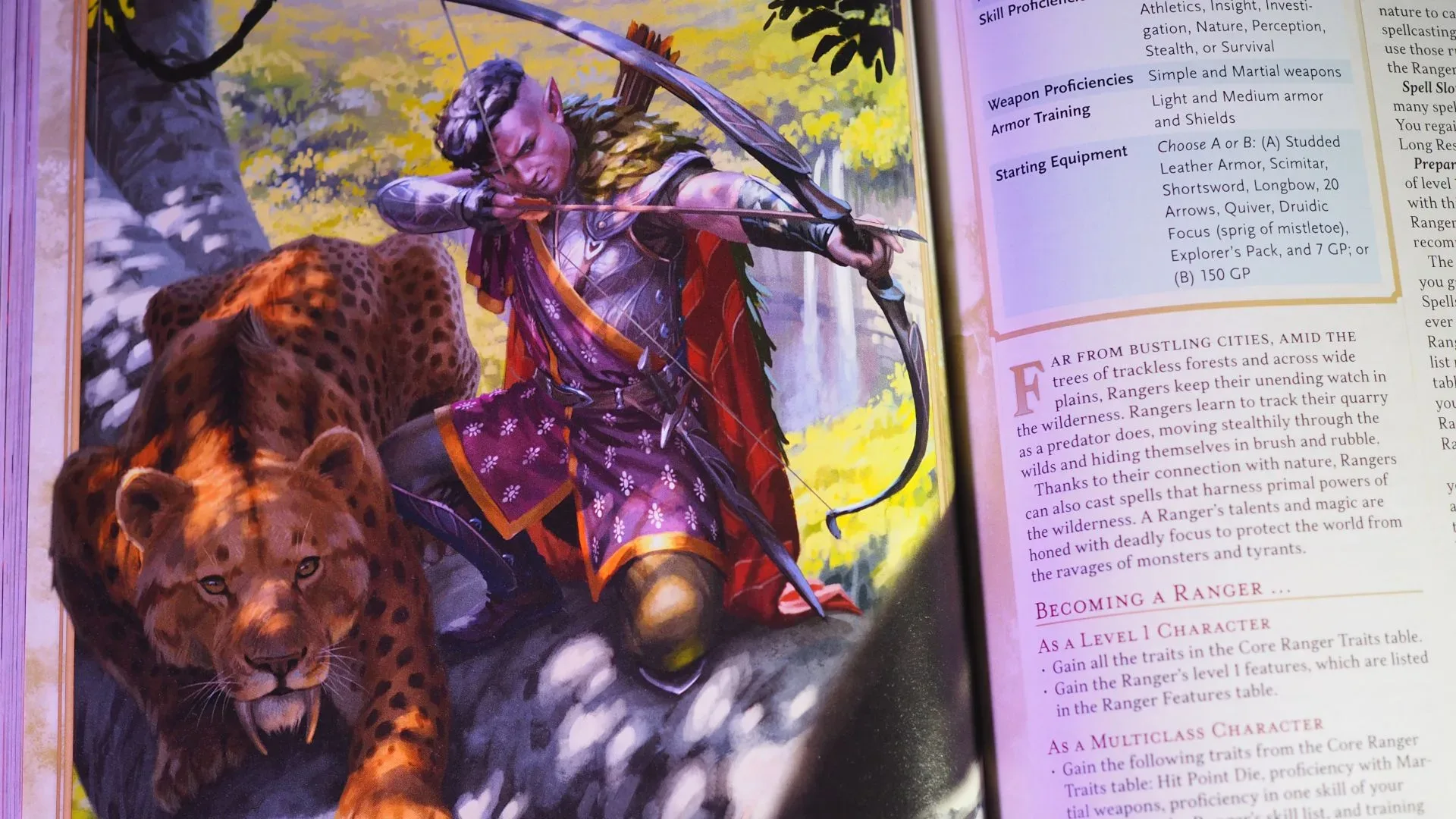 Dungeons & Dragons books and tabletop game materials representing the brand’s upcoming roadmap