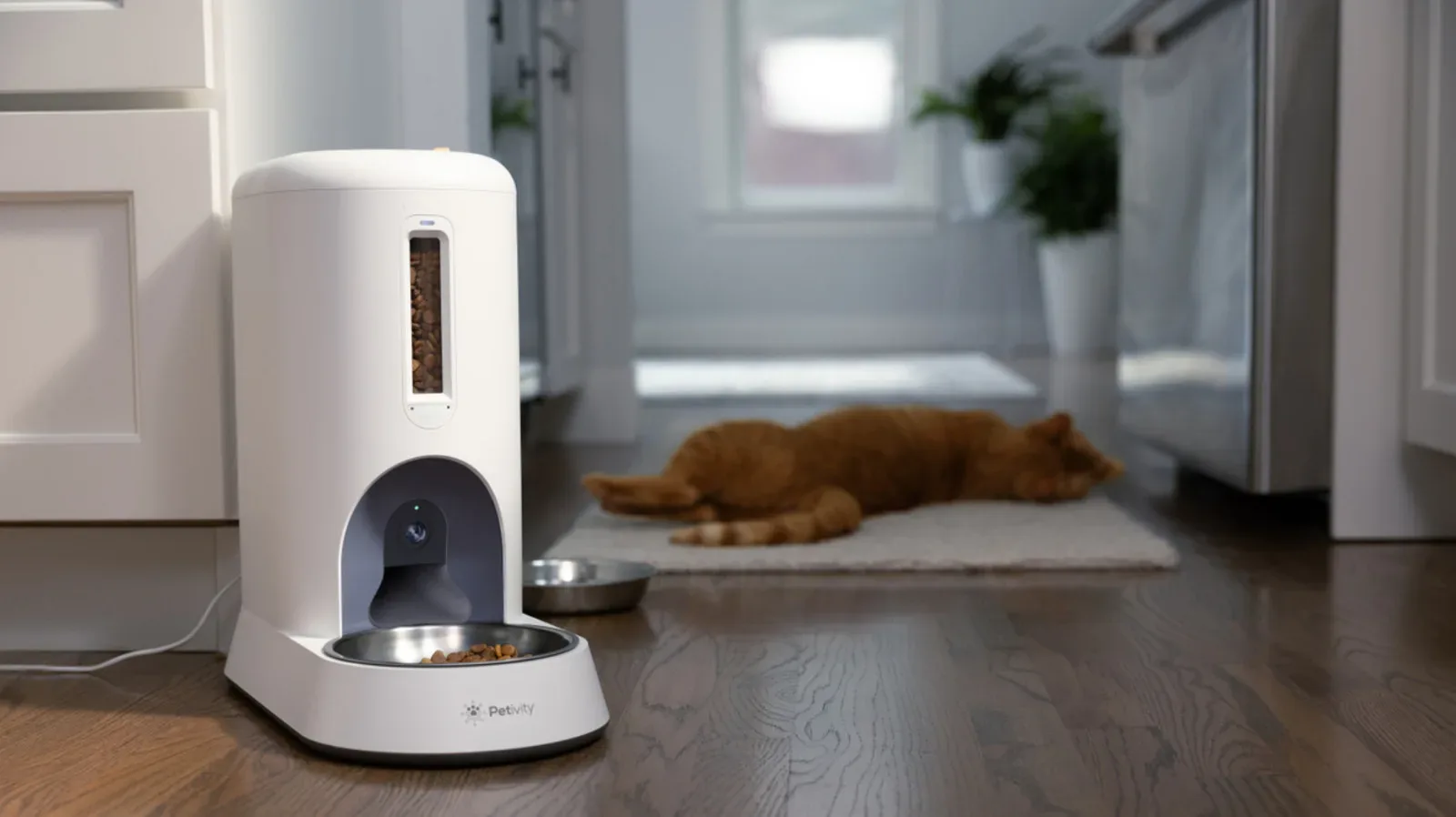 Petivity Smart Feeder for Cats with camera and kibble bowl