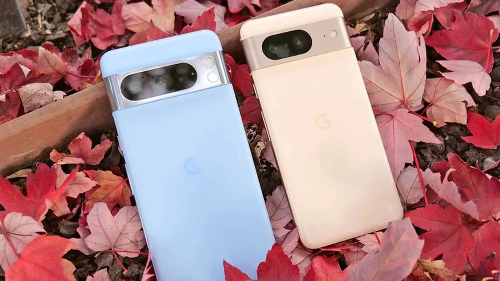 Google Pixel 8 shown from the rear with its horizontal camera visor