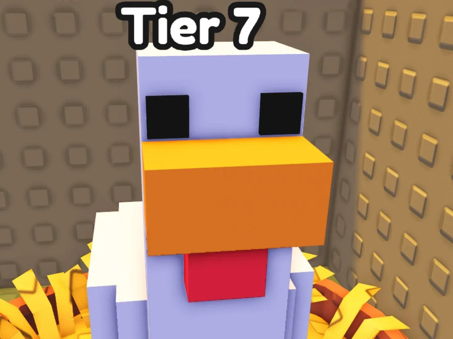 A close up of a Goose Chicken in Chicken Farm on Roblox.