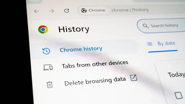 The Chrome history settings page.