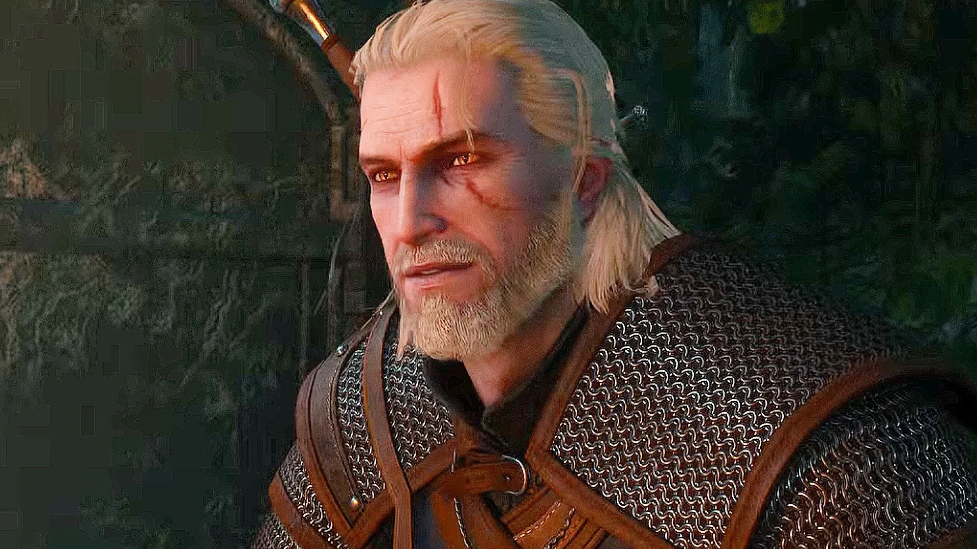 The Witcher 3 Remastered comparison of street pigeons and the preserved low-poly flying pigeons