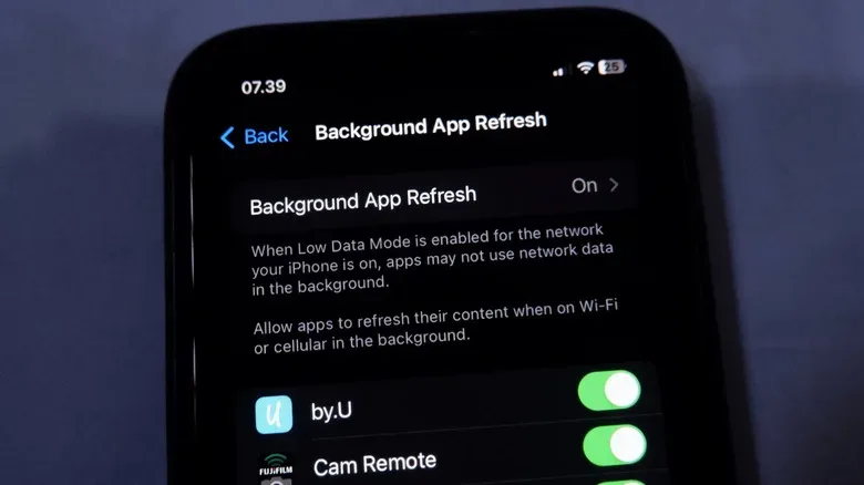 iPhone Cellular settings with app data controls