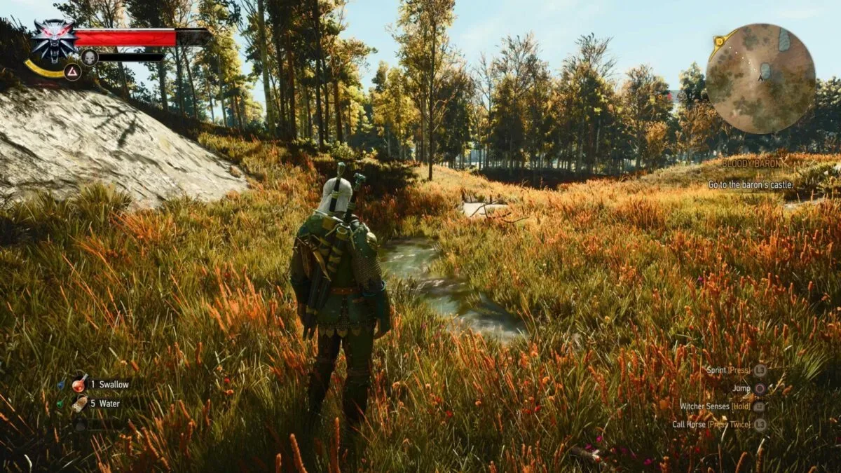 Geralt overlooking a detailed Skellige landscape in The Witcher 3: Wild Hunt — Remastered