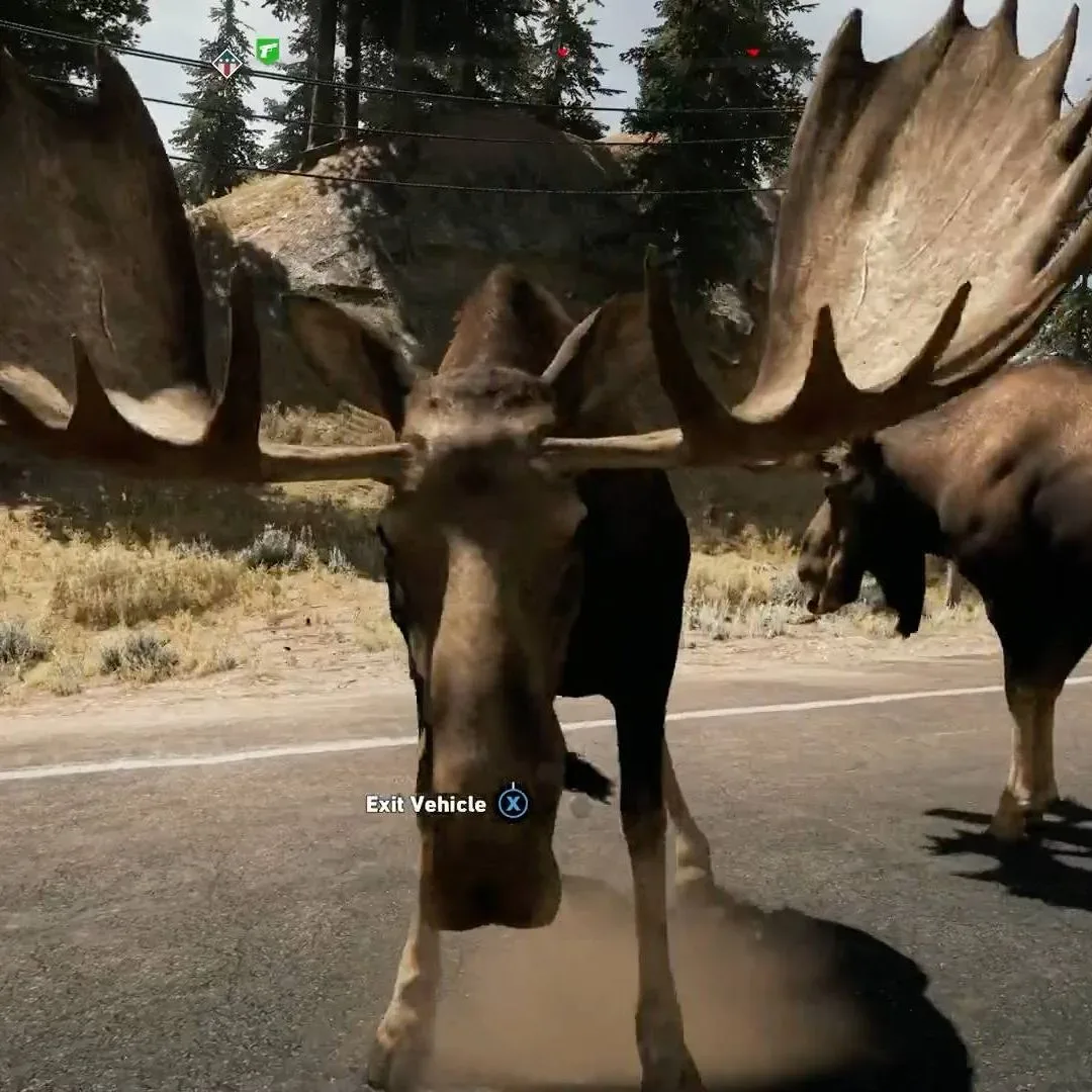 A player recording a surprising gameplay moment from an open-world game