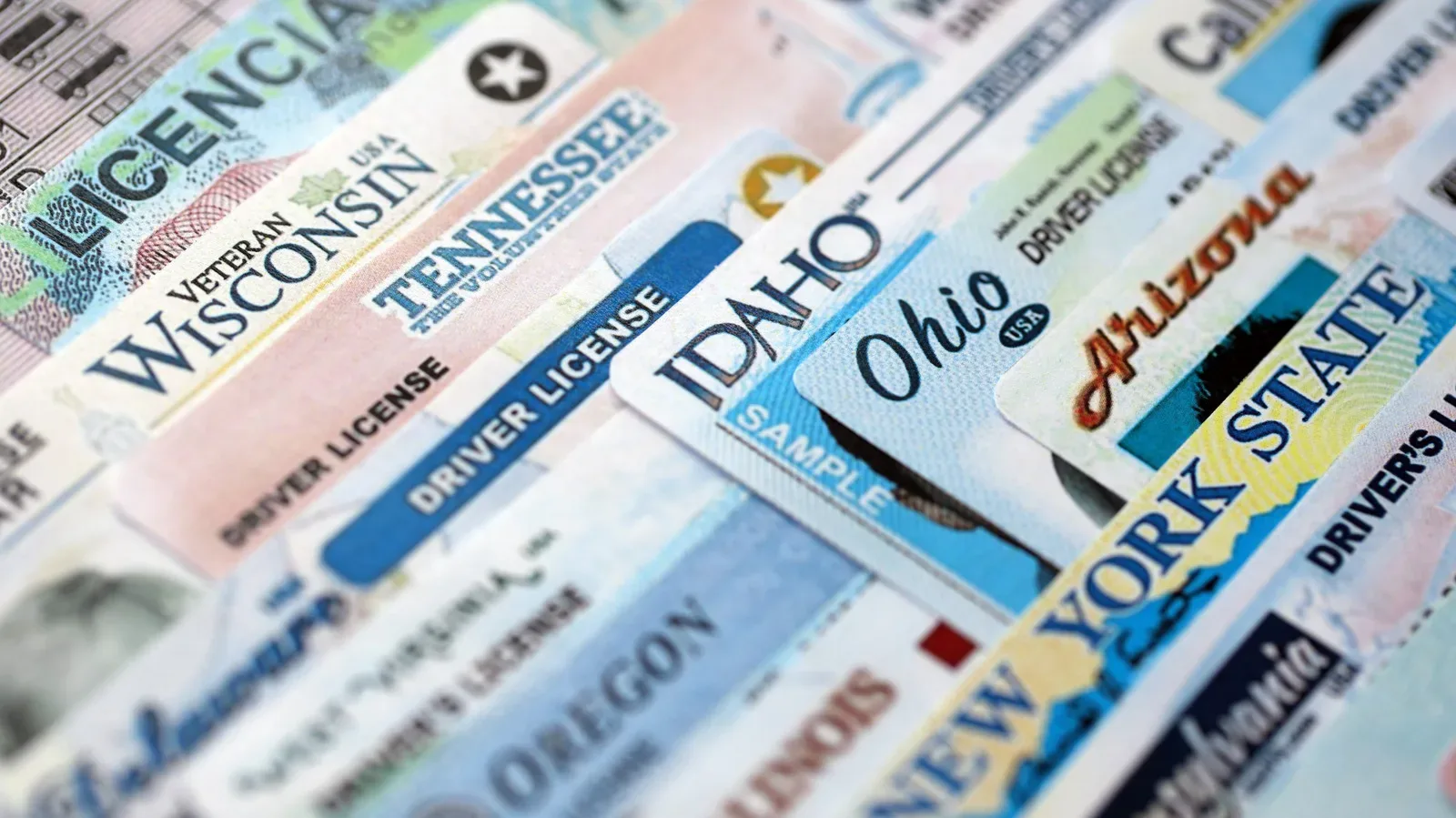A generic driver’s license beside a shield icon representing identity protection