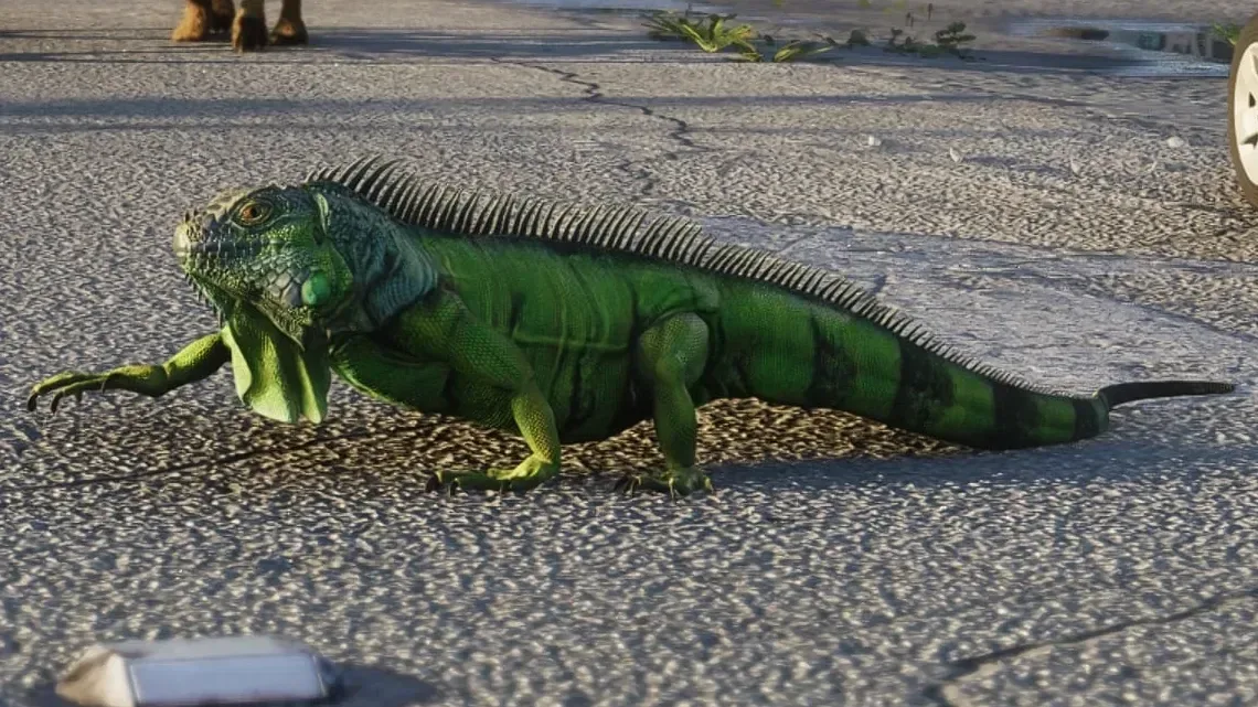 GTA 6 wildlife including manatees, dolphins and sea turtles