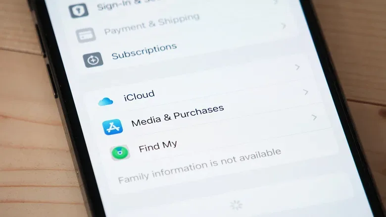 iCloud settings menu on an iPhone.