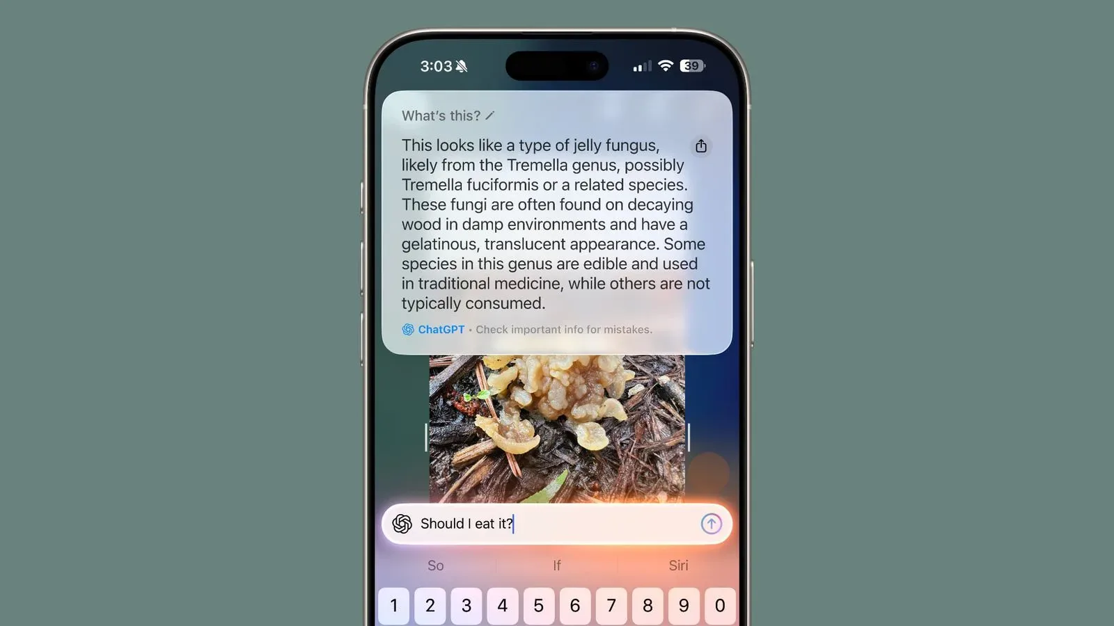 An iPhone using a camera-based visual search feature to identify a collectible item