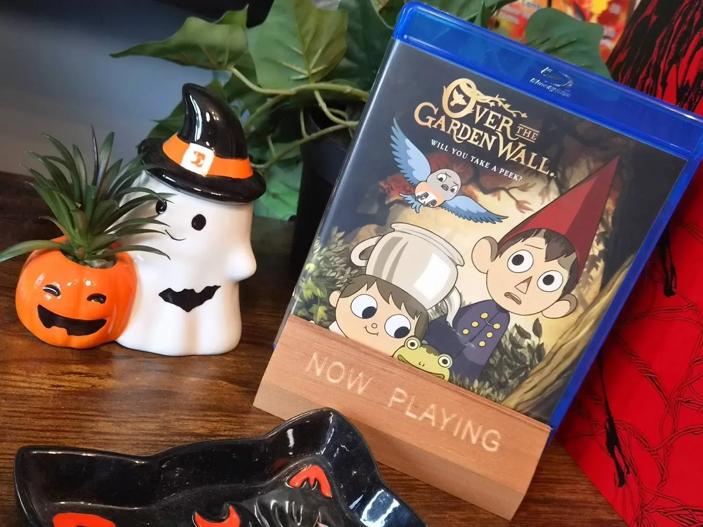 Tome of the Unknown bonus feature included with the Over the Garden Wall Blu-ray