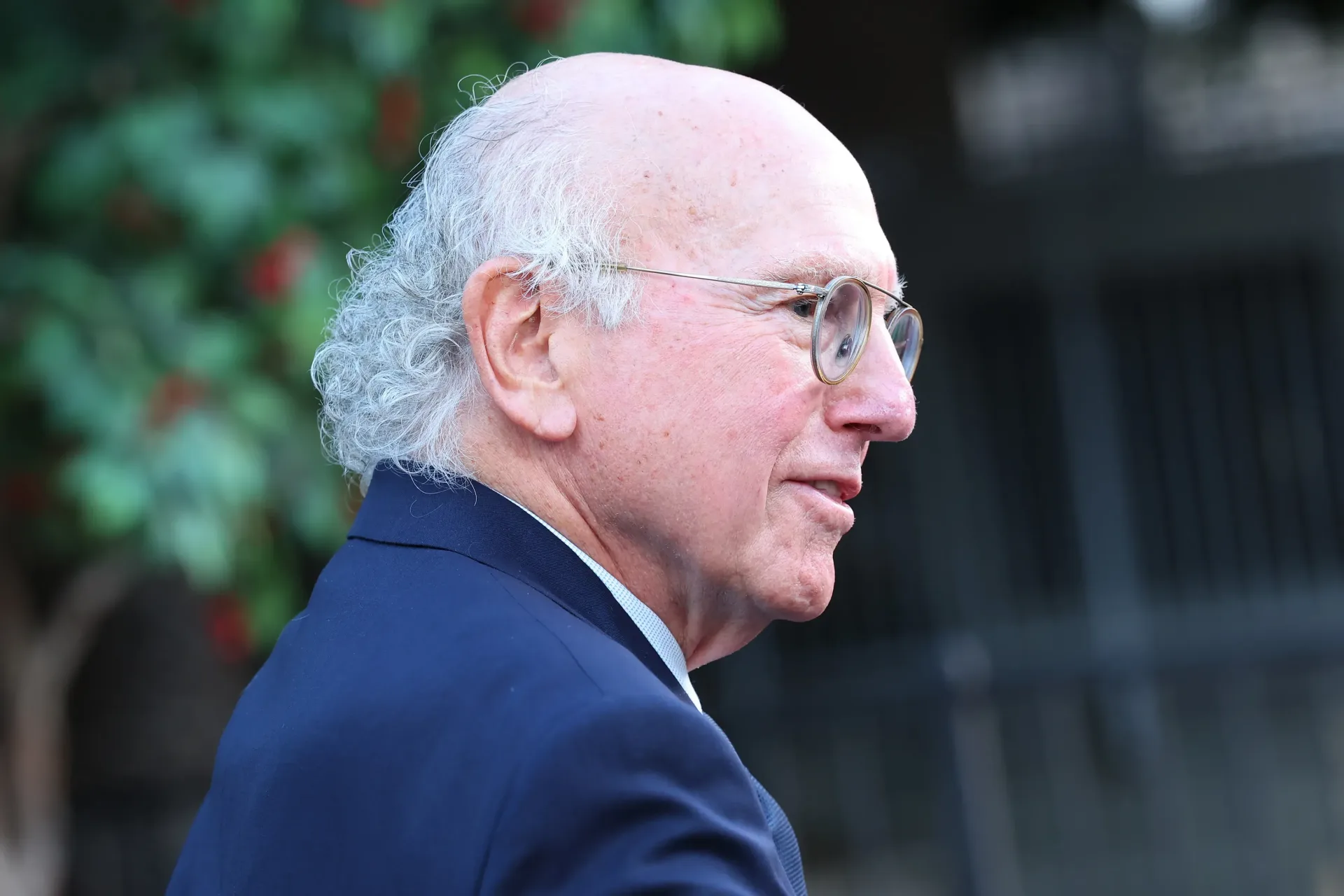 Larry David during a public appearance
