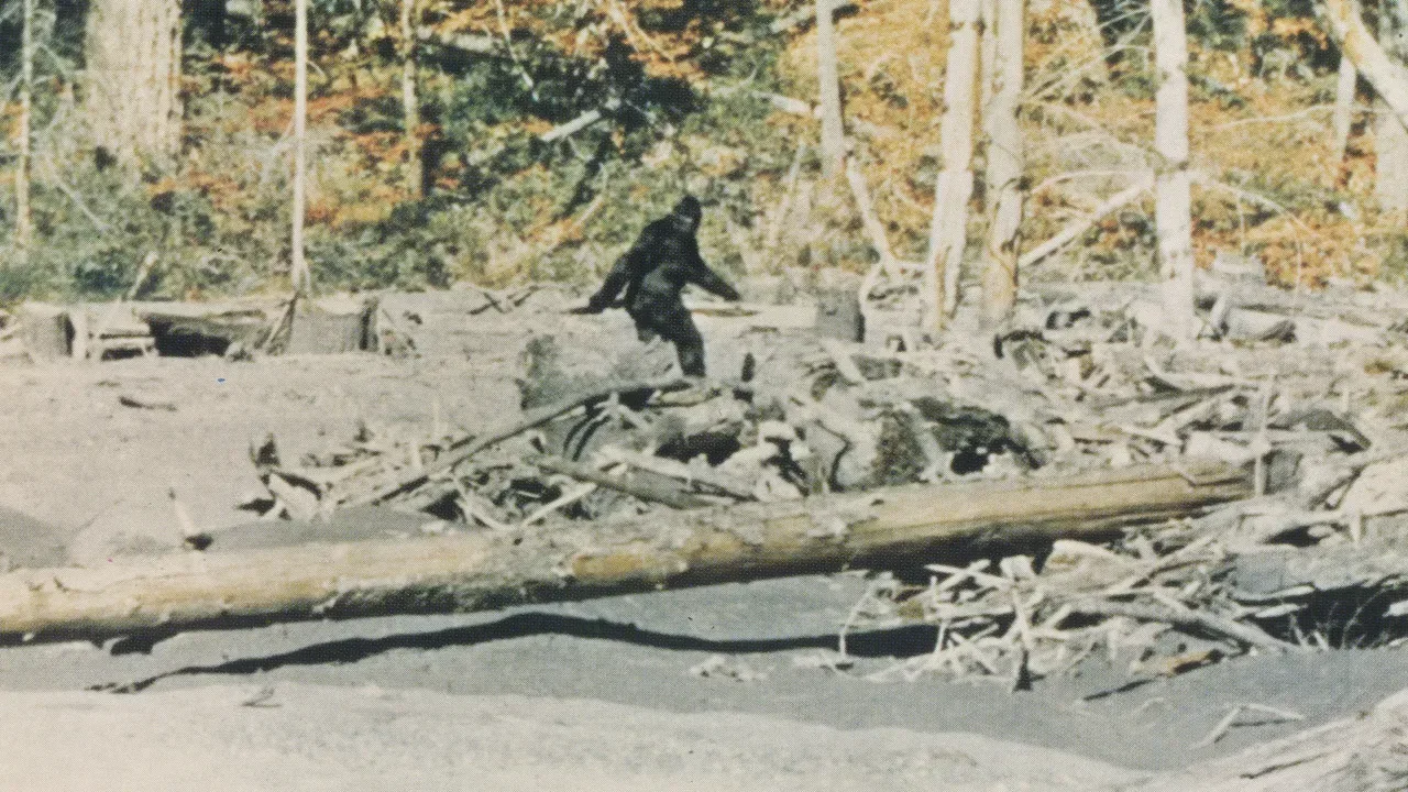 A grainy 16mm-style image of a figure walking through a wooded clearing