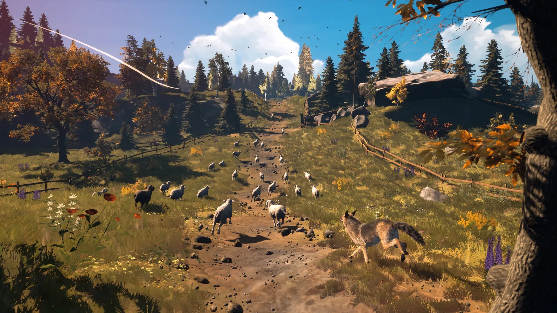 Hubert Steam launch artwork featuring the shepherd dog and sheep