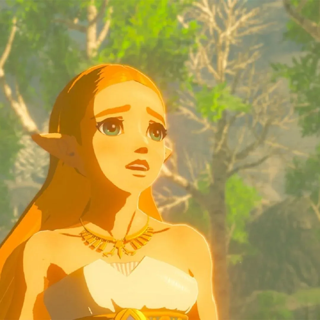 The Legend of Zelda: Breath of the Wild comparison discussion between jailbroken PS5 emulation and Switch 2