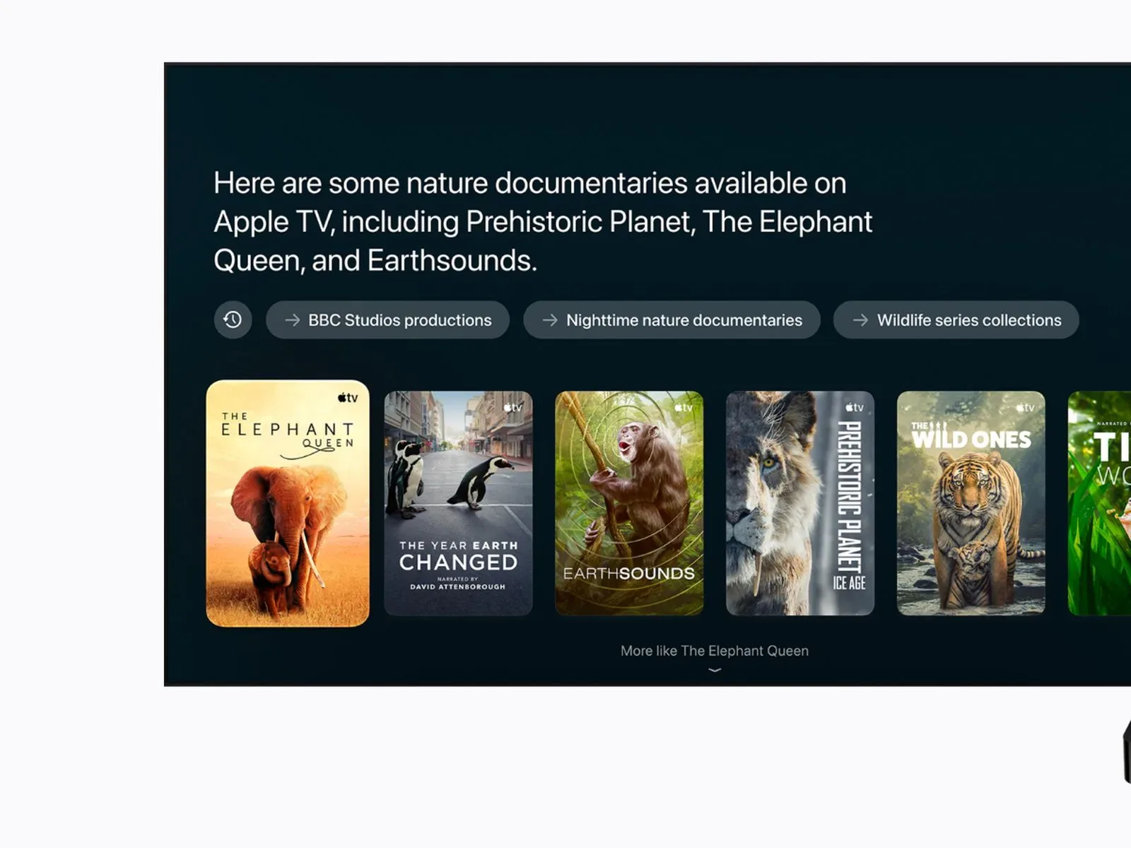 Apple TV Home app showing summarized smart-home camera activity
