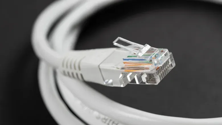 A white Ethernet cable wrapped in a circle, showing its connector close-up.