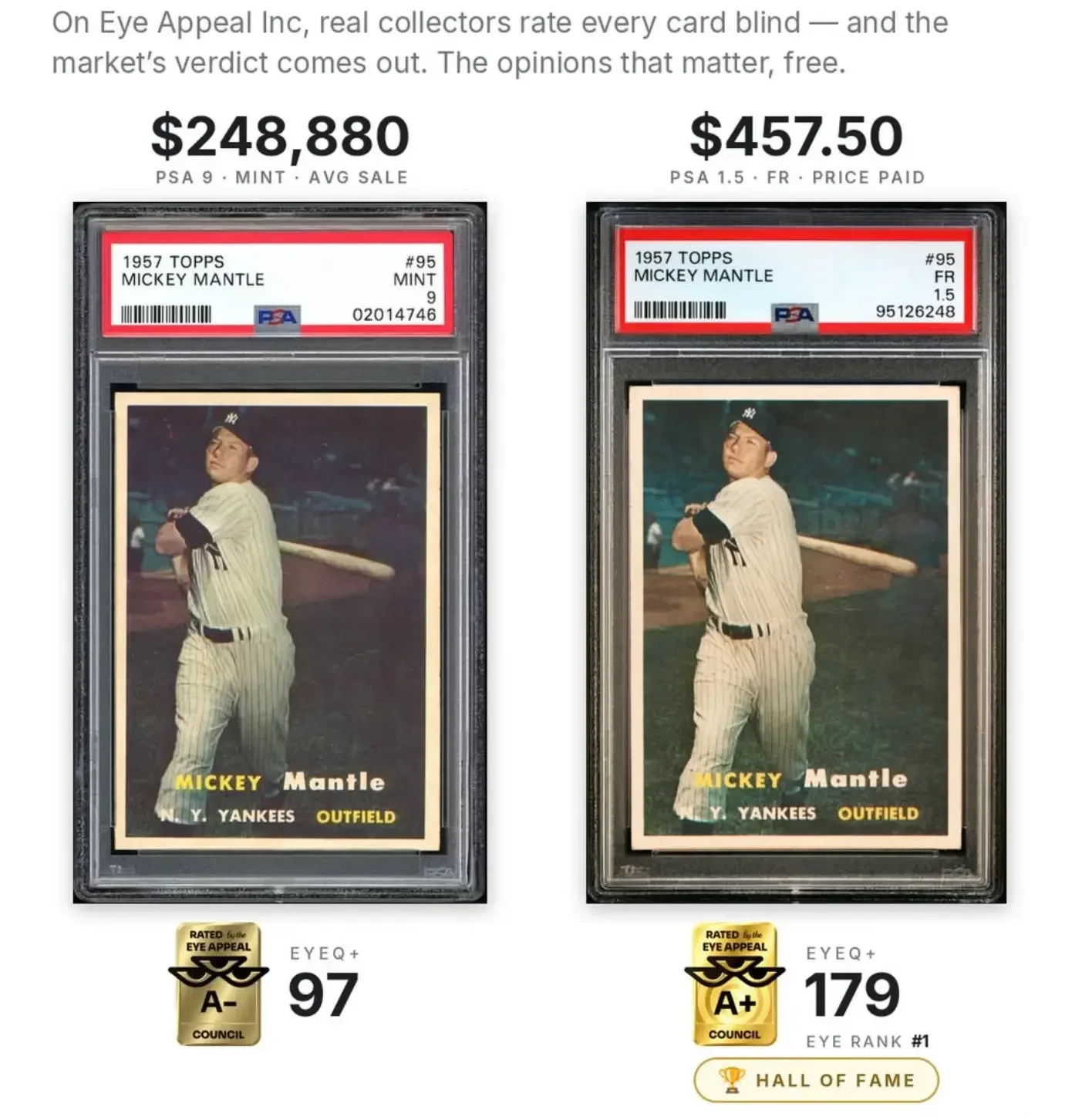 A selection of vintage and modern baseball cards representing affordable collecting across multiple decades