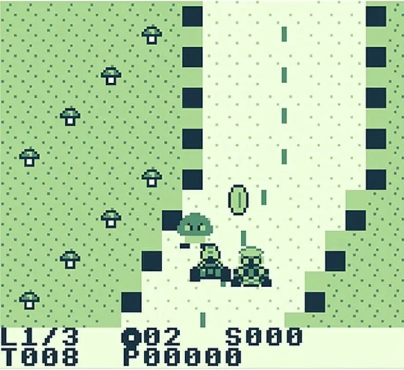 Mario Kart Rally DMG