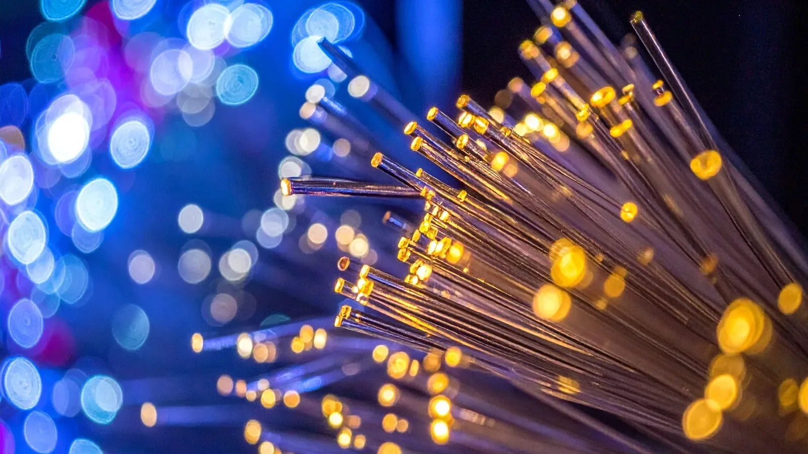 Fiber-optic and coaxial cable connectors illustrating different home internet technologies