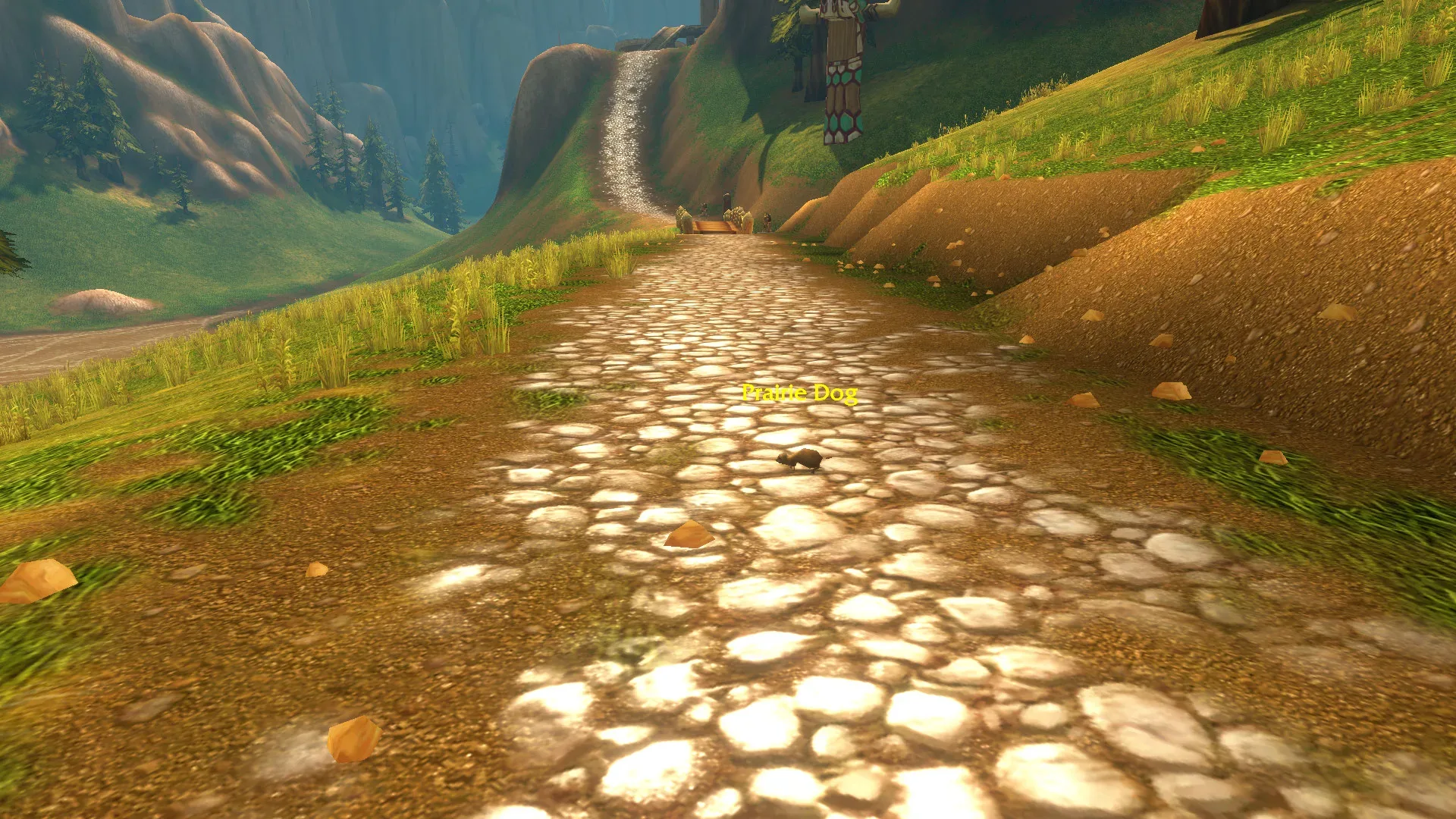Halpa near the Hunter’s Rise entrance in Thunder Bluff, where the prairie dog pet is sold