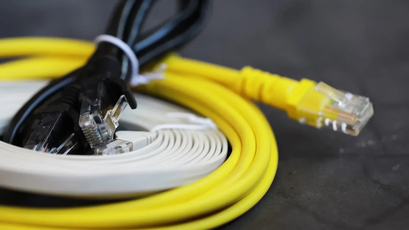 Close-up of an Ethernet cable showing four internally twisted copper wire pairs