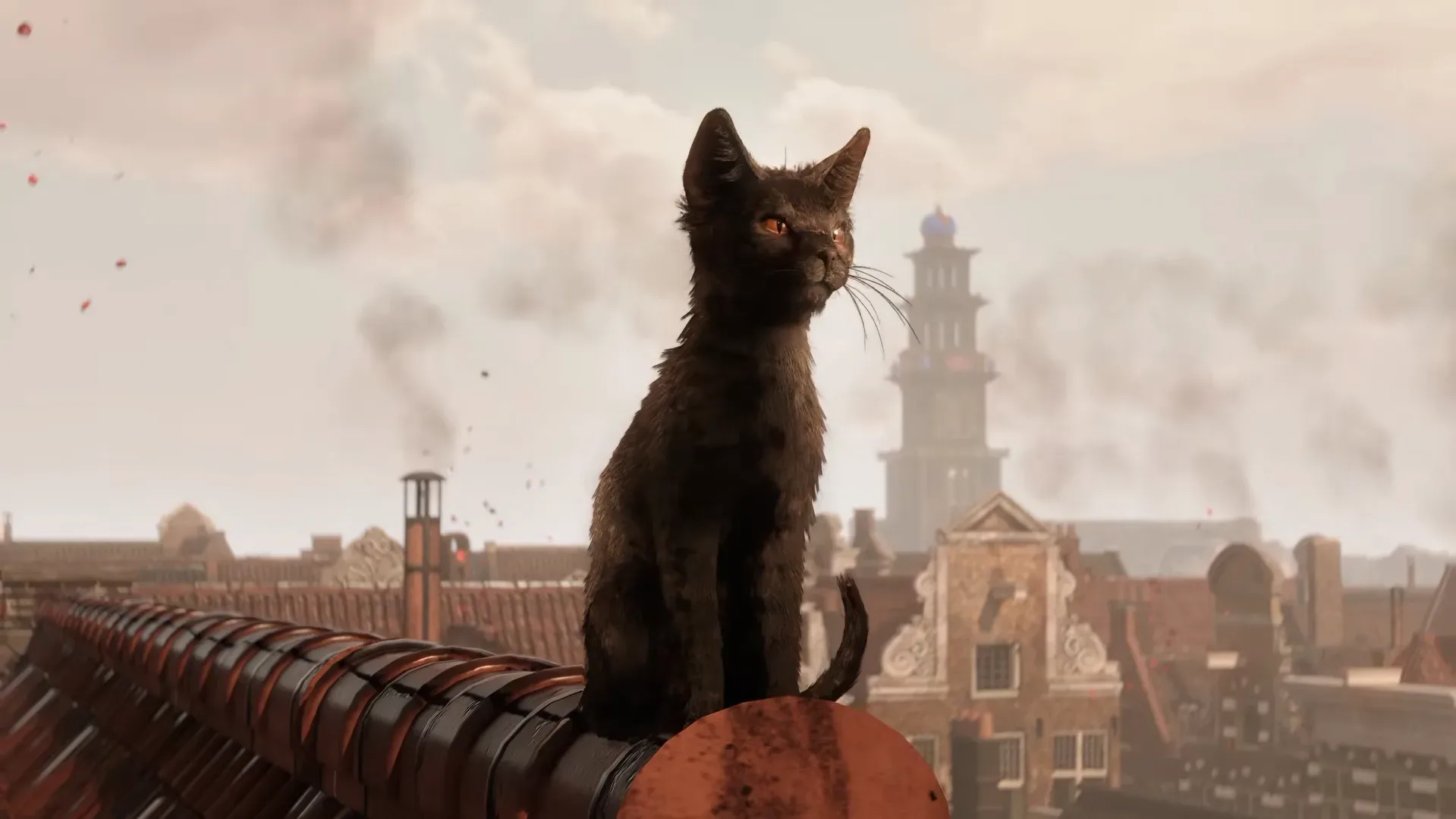 Noa and her feline companion Aaron explore supernatural Amsterdam in 1666: Amsterdam