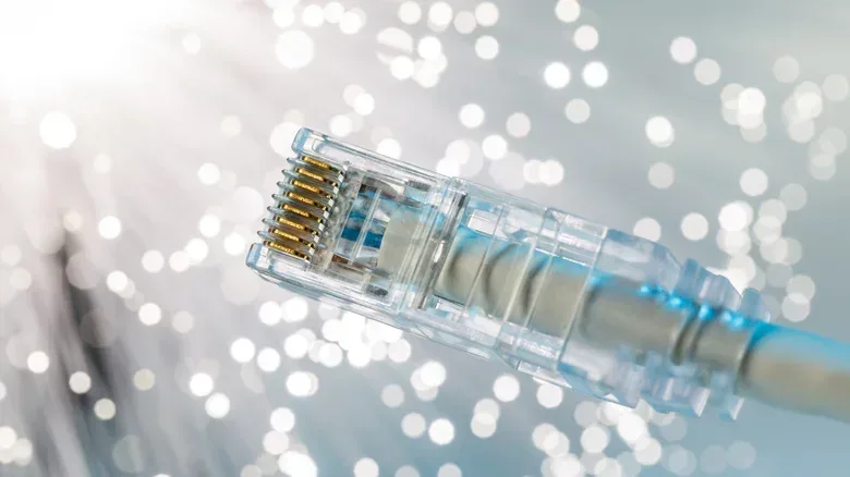 Windows Ethernet adapter status showing negotiated link speed