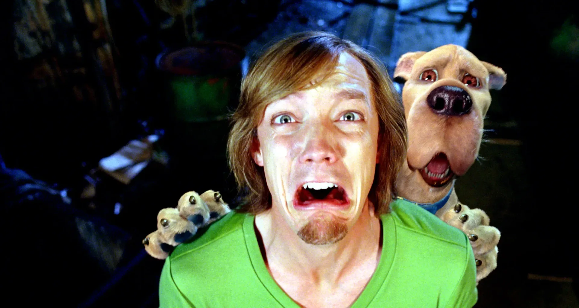 Matthew Lillard as Shaggy in the live-action Scooby-Doo films