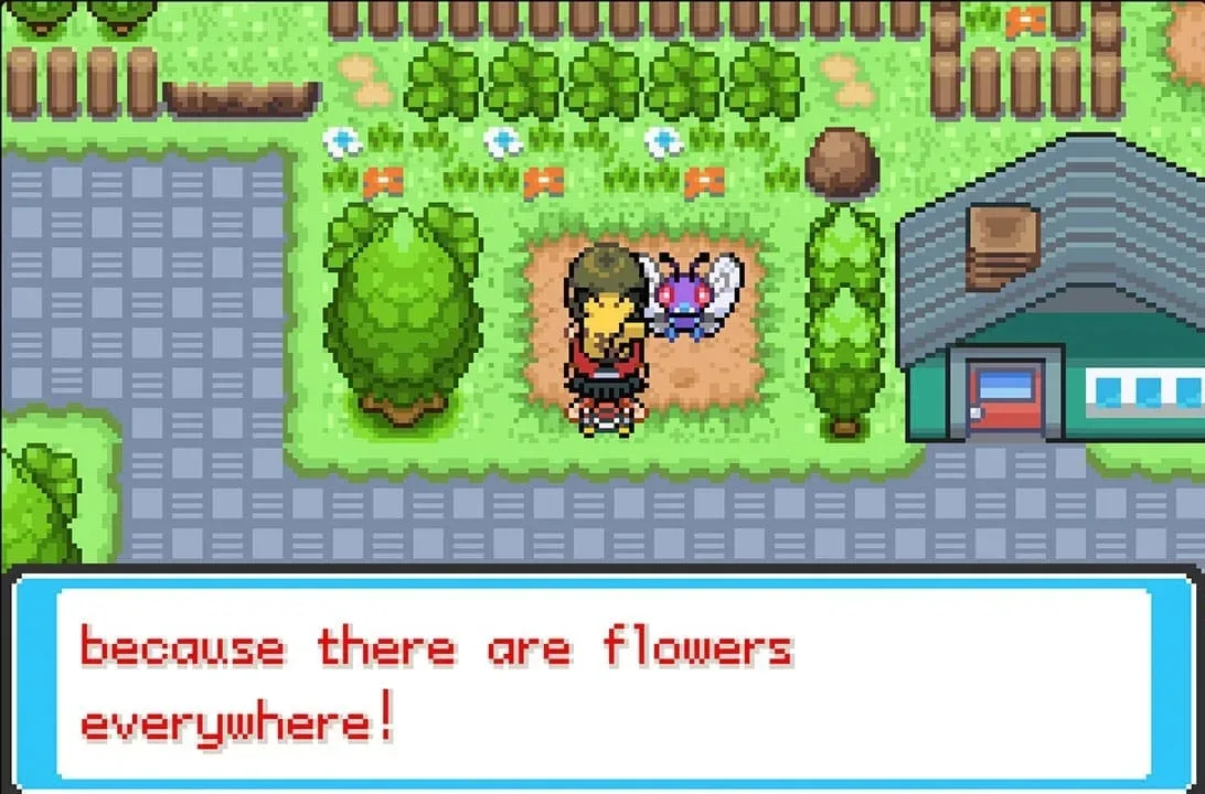Trainer talking with Butterfree beside them