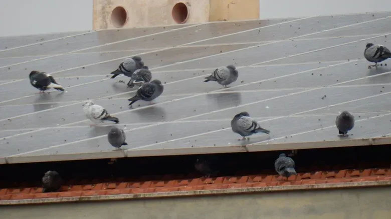 Solar production monitoring data used to assess panel soiling