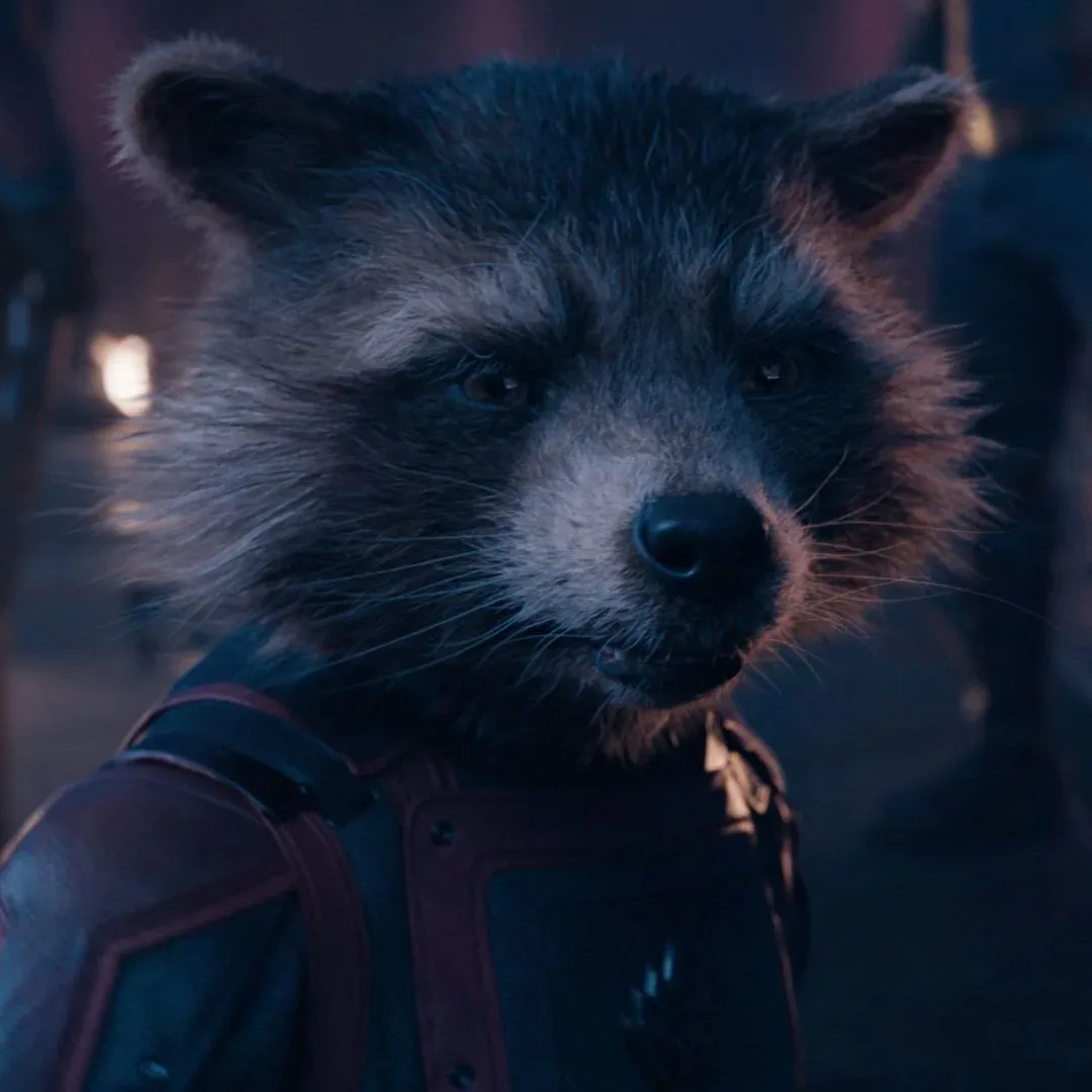 Rocket Raccoon, the MCU character voiced by Bradley Cooper with motion reference by Sean Gunn