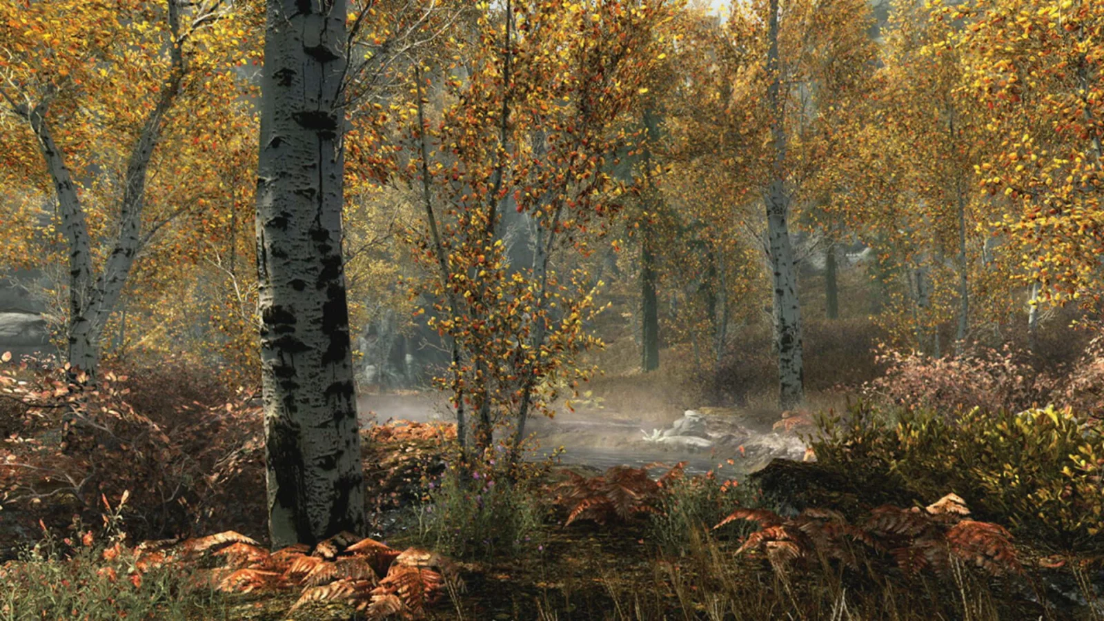 The Elder Scrolls V: Skyrim Special Edition gameplay on Sony PlayStation 5