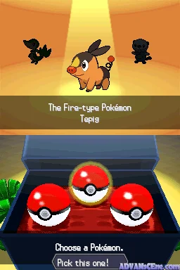 Pokémon Black Version — Nintendo DS Screenshot - Gameplay