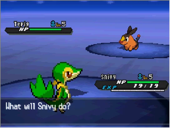 Pokémon Black Version — Nintendo DS Screenshot - Gameplay